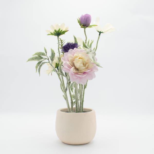 PAEONIACEAEA. FLORERO PALO ROSA