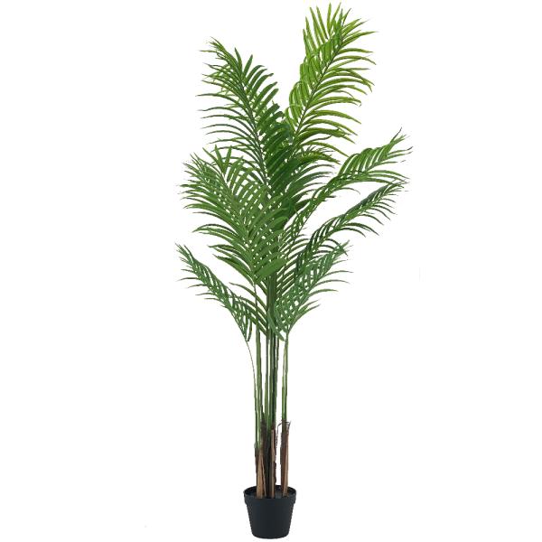 PALMERA DE 1.80 MTS VERDE
