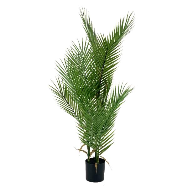 PALMERA ARECA 100CM VERDE