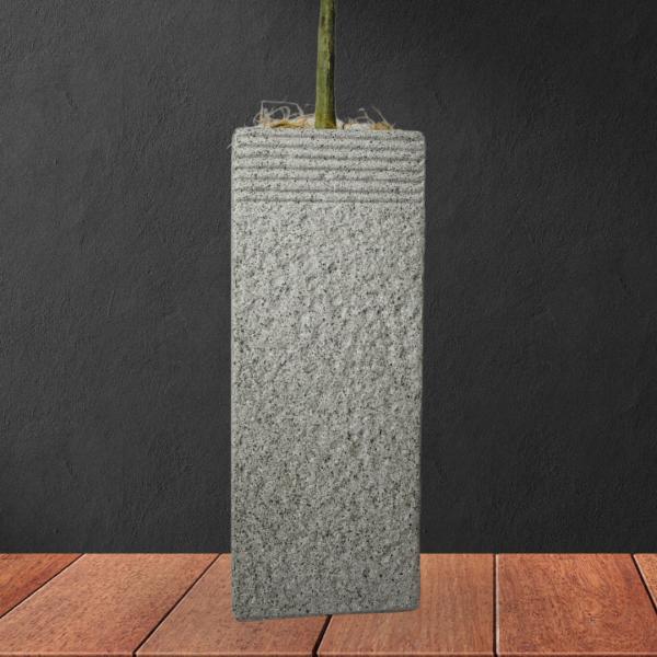 MDFC124 GRIS