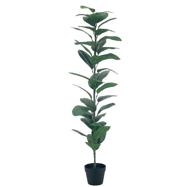 RAMA DE CAUCHO. 150CM VERDE
