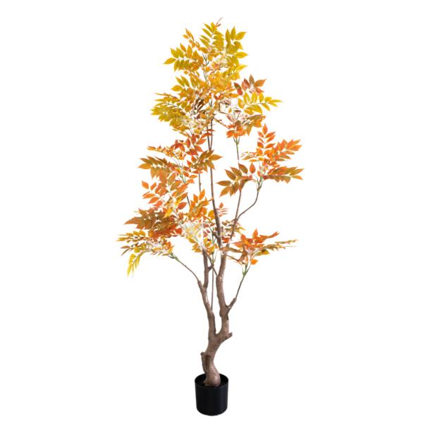 FICUS. 200CM NARANAJA